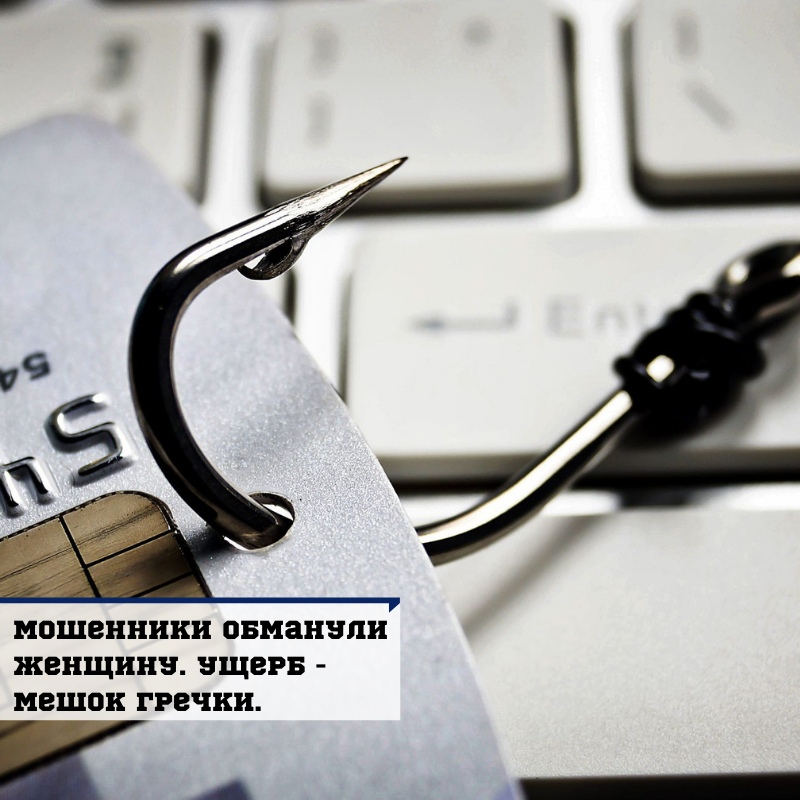 МОШЕННИЧЕСТВО: ДЕНЬГИ ПОЛУЧИЛИ, А ГРЕЧКУ НЕ ПРИВЕЗЛИ