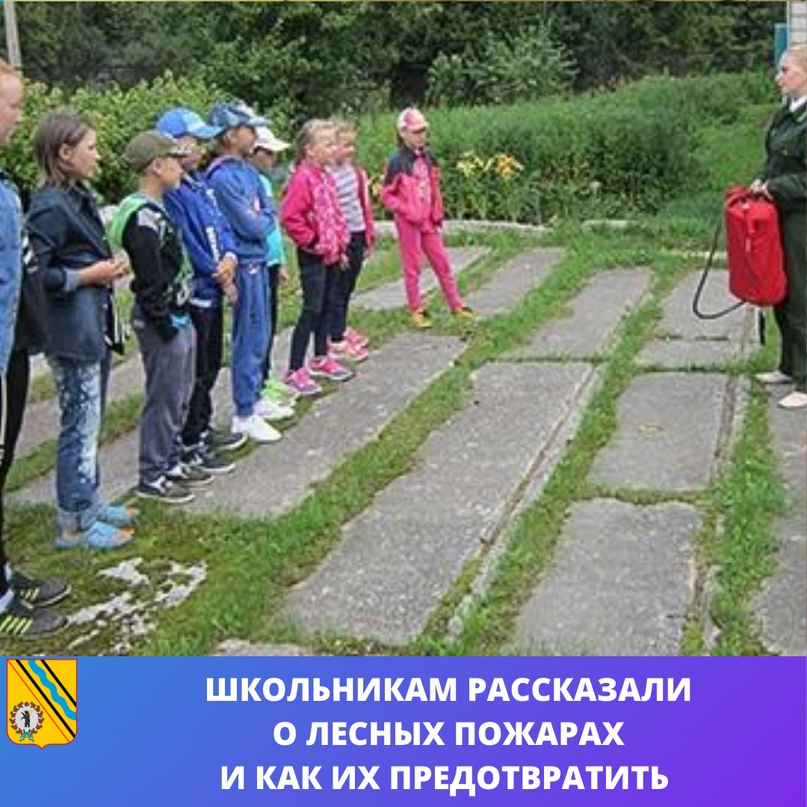 Школьники попробовали потушить лесной пожар