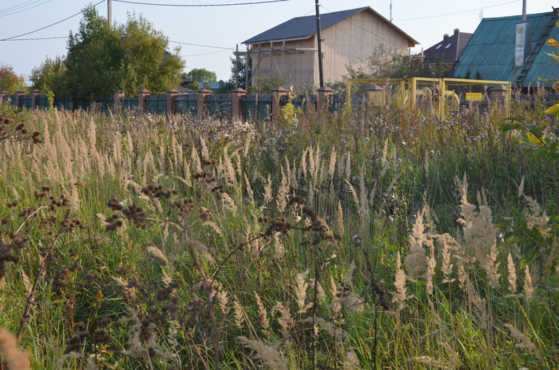 Продолжаем знакомить вас с работой структурных подразделений органов местного самоуправления