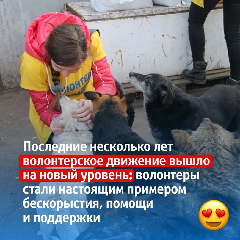 Волонтерское движение в России вышло на новый уровень