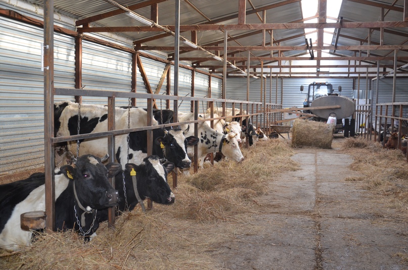 НЕ РАДИ ПРИБЫЛИ, А ДЛЯ ДУШИ