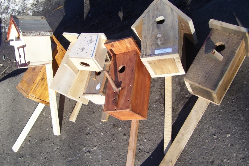 Тутаев активно включился в общероссийскую экологическую акцию "Подарим дом птицам вместе" и провел уже один тематический субботник «Экотропа»