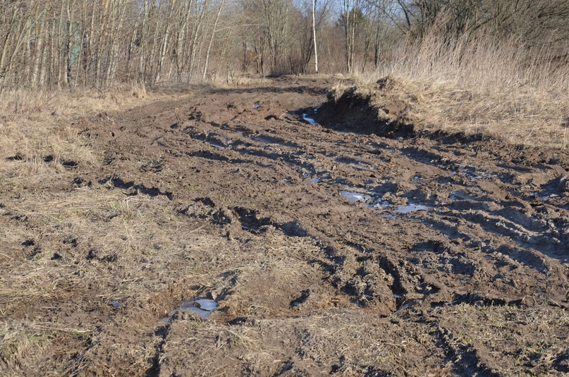 ЧЕБАКОВСКОЕ СП: ДОРОГА НА ГОРИНСКОЕ