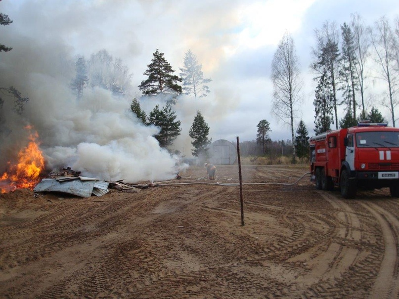 ВЕСНА ПРИШЛА: ВРЕДИТЕЛИ ВЗЯЛИСЬ ЗА ПОДЖИГАНИЕ