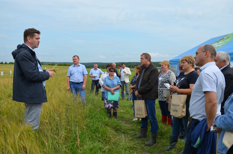 Ярославская область, как оказалось, практически идеально подходит для выращивания ячменя, из которого производят солодовые напитки