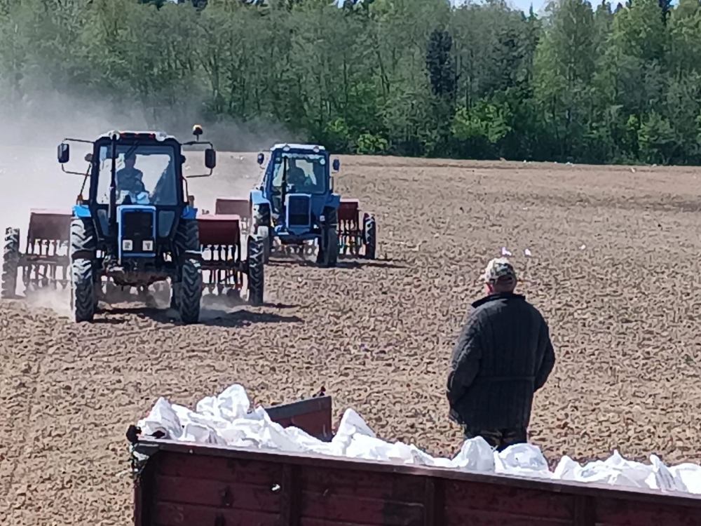О ходе весенних полевых работ