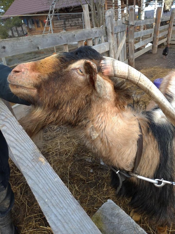В Тутаевском районе будут развивать сельский туризм, весьма популярный сегодня среди жителей крупных городов и мегаполисов