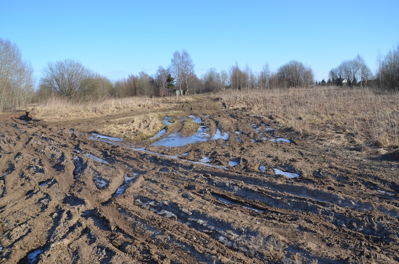 ЧЕБАКОВСКОЕ СП: ДОРОГА НА ГОРИНСКОЕ