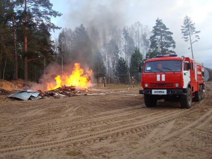 ВЕСНА ПРИШЛА: ВРЕДИТЕЛИ ВЗЯЛИСЬ ЗА ПОДЖИГАНИЕ