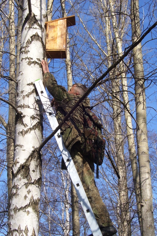 Тутаев активно включился в общероссийскую экологическую акцию "Подарим дом птицам вместе" и провел уже один тематический субботник «Экотропа»