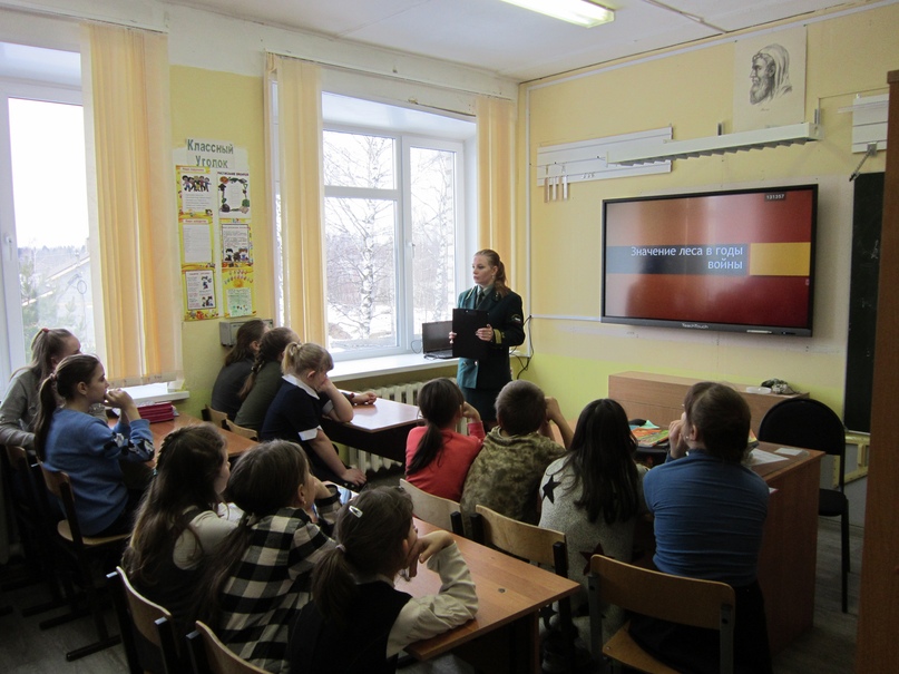 ЭКОЛОГИЯ: СОХРАНЕНИЕ ЛЕСОВ