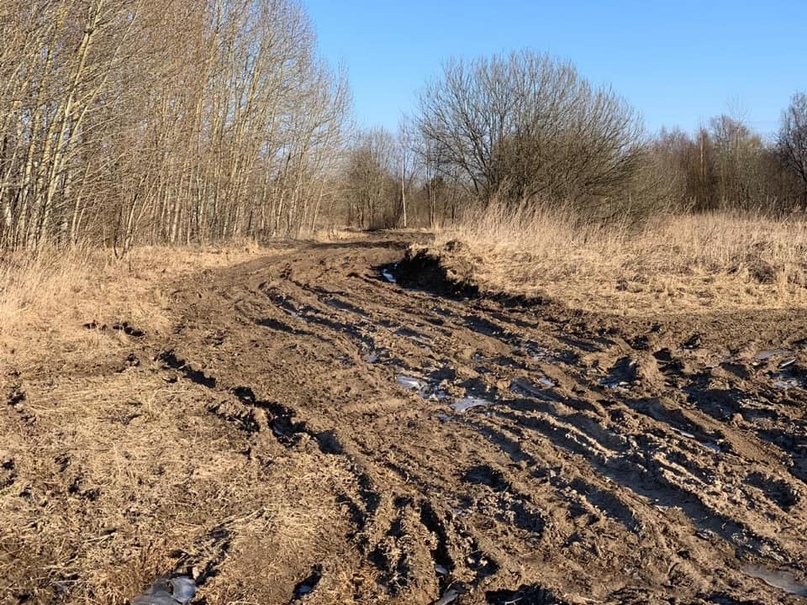 ЧЕБАКОВСКОЕ СП: ДОРОГА НА ГОРИНСКОЕ