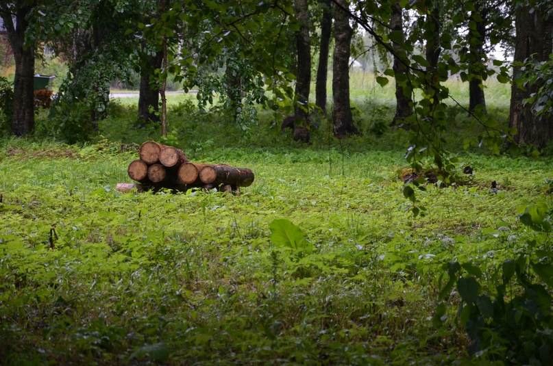 Первый заместитель главы администрации района Маргарита Новикова совершила рабочую поездку в левобережную часть города и района