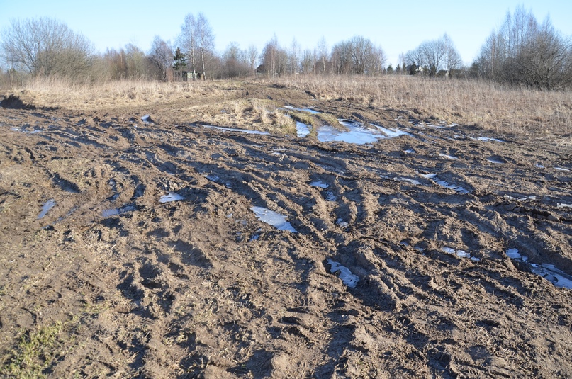 ЧЕБАКОВСКОЕ СП: ДОРОГА НА ГОРИНСКОЕ
