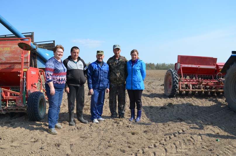 Весенне-полевые работы СПК Тутаевского района проводят с высокими процентами выполнения плановых показателей
