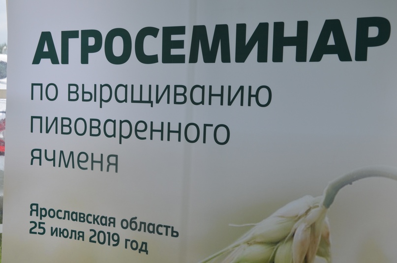 Ярославская область, как оказалось, практически идеально подходит для выращивания ячменя, из которого производят солодовые напитки