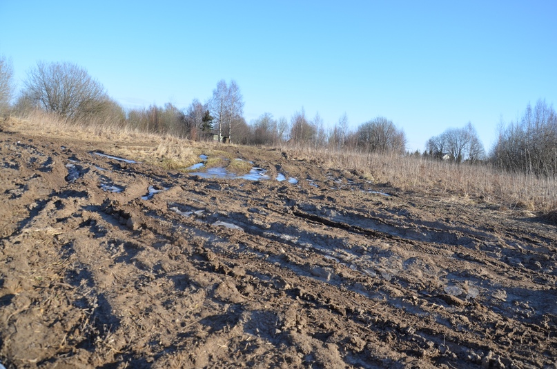 ЧЕБАКОВСКОЕ СП: ДОРОГА НА ГОРИНСКОЕ