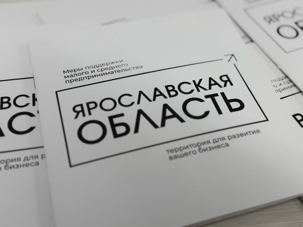 Будущее Тутаевского округа: итоги бизнес-миссии