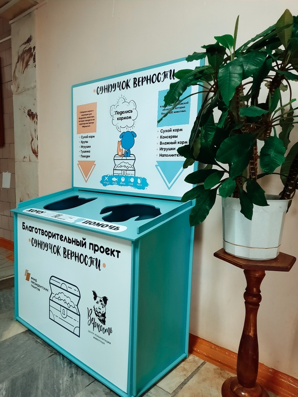 Акция помощи бездомным животным в Тутаевском районе расширяется