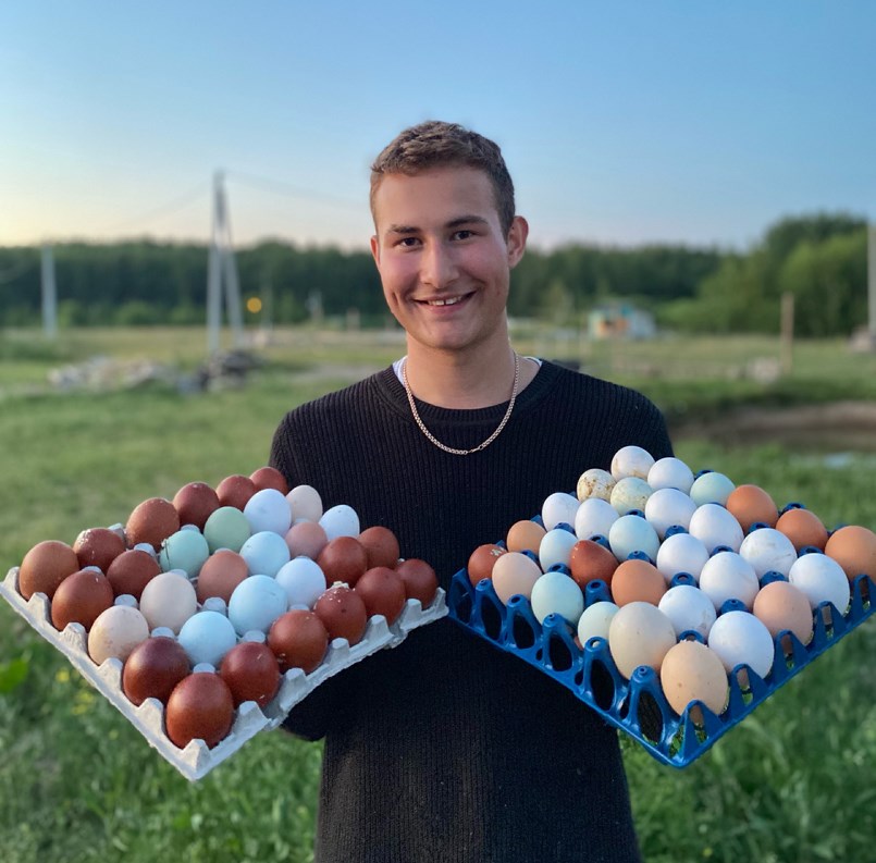 Яичная радуга. Тутаевский ветеринар разводит кур, несущих цветные яйца