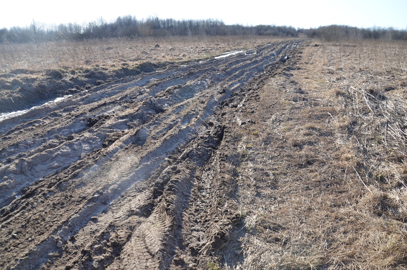ЧЕБАКОВСКОЕ СП: ДОРОГА НА ГОРИНСКОЕ
