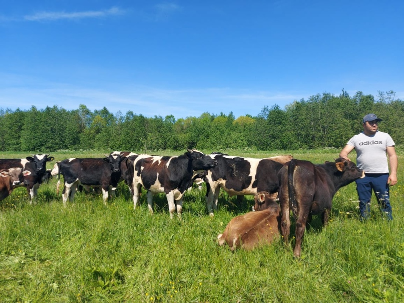 СЕЛЬСКОЕ ХОЗЯЙСТВО В ПРИОРИТЕТЕ