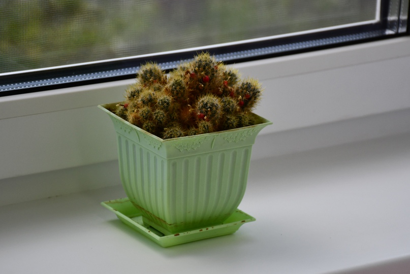 Центр психолого-медико-социального сопровождения, диагностики и консультирования детей и подростков «Стимул» города Тутаева участвует в региональной программе инициативного бюджетирования второй год подряд