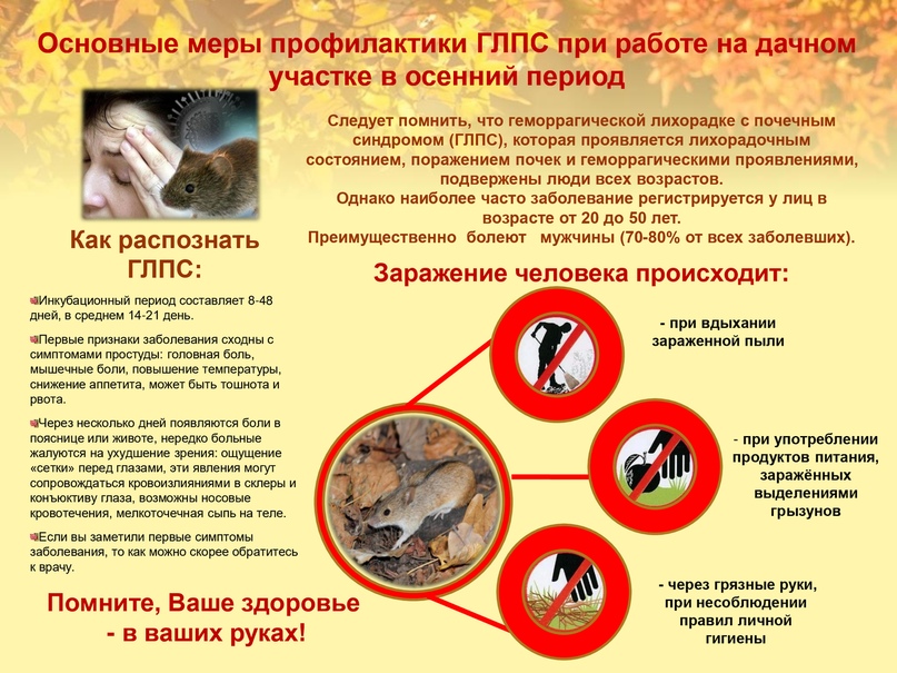 В администрации района обсудили вопросы, касающиеся дератизации и прекращения распространения вируса так называемой мышиной лихорадки