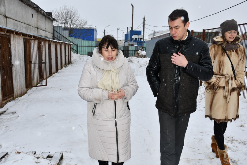 Глава района побывал сегодня в приюте для бездомных собак