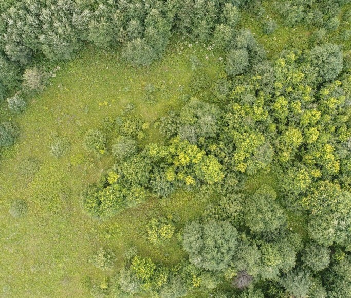 В Правительстве области подвели промежуточные итоги работы по контролю за целевым использованием земельных участков сельхозназначения