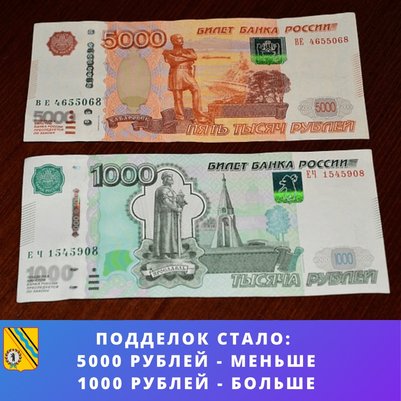 Во втором квартале в регионе сократилось количество поддельных денег