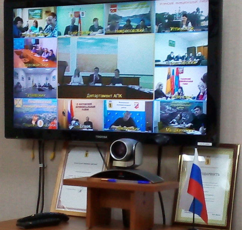 СЕЛЬСКОЕ ХОЗЯЙСТВО: АКТУАЛЬНЫЕ ВОПРОСЫ  Состоялась региональная видеоконференция по развитию сельского хозяйства в Ярославской области