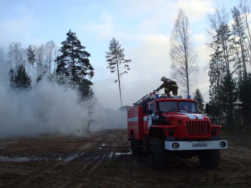 ВЕСНА ПРИШЛА: ВРЕДИТЕЛИ ВЗЯЛИСЬ ЗА ПОДЖИГАНИЕ