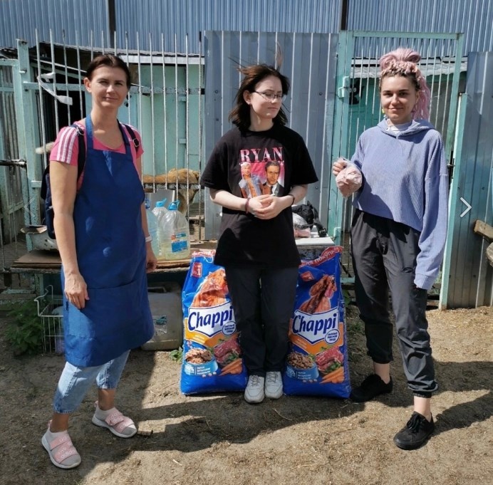 Грумеры помогают воспитанникам собачьего приюта в Тутаеве