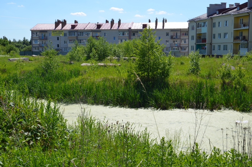 Интервью с директором управления муниципального контроля Владимиром Карташовым