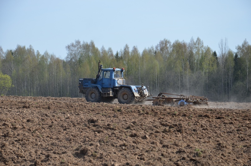 Весенне-полевые работы СПК Тутаевского района проводят с высокими процентами выполнения плановых показателей