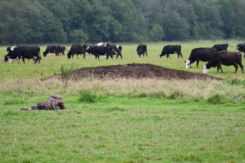 В период завершения кормозаготовительных работ первый заместитель главы района Маргарита Новикова провела ряд встреч с руководителями ряда сельскохозяйственных предприятий