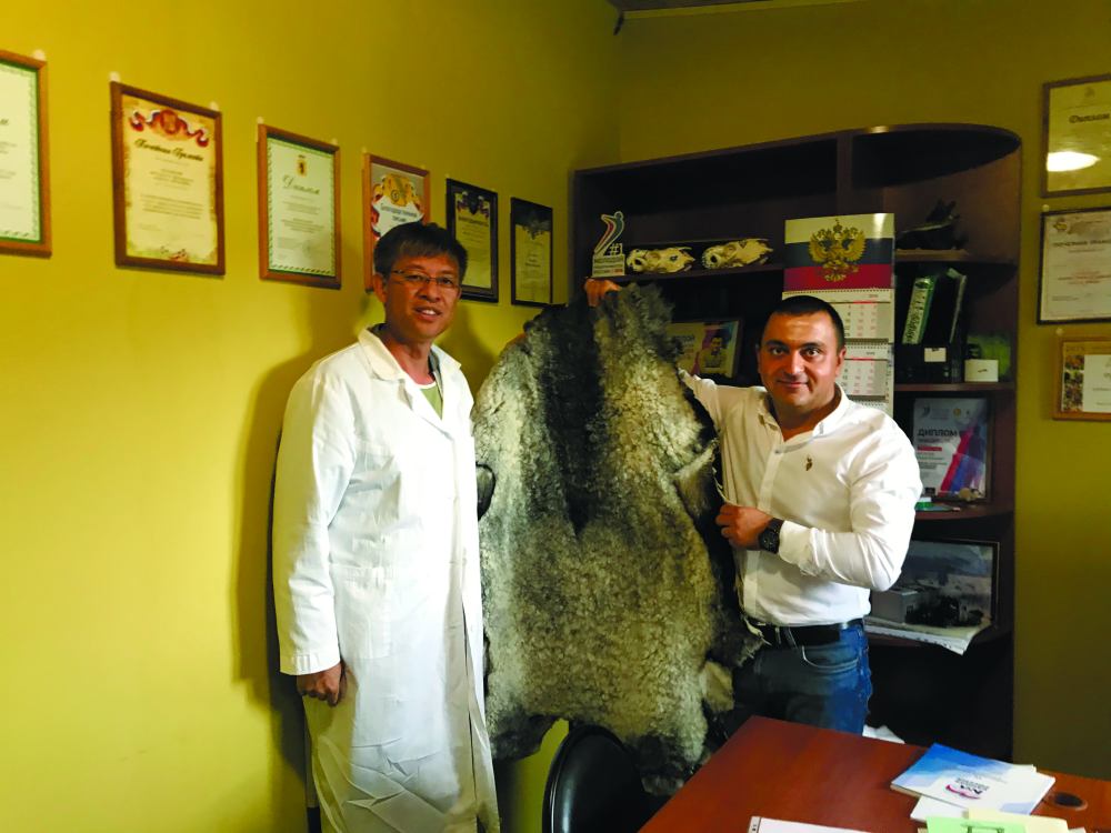 Музей романовской овцы планирует организовать на своей ферме Мураз Айлазов