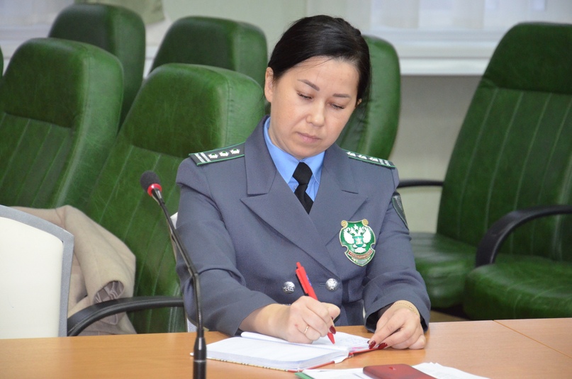 АФРИКАНСКАЯ ЧУМА СВИНЕЙ