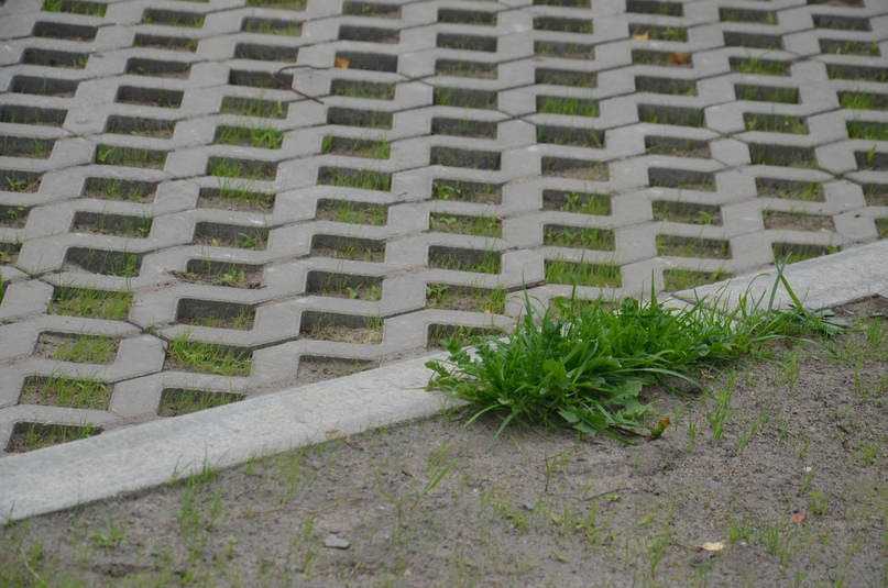 В Тутаеве появился уникальный на всю область городской двор