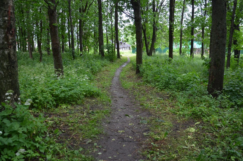 Первый заместитель главы администрации района Маргарита Новикова совершила рабочую поездку в левобережную часть города и района