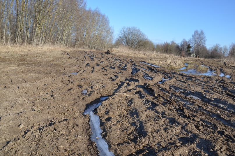 ЧЕБАКОВСКОЕ СП: ДОРОГА НА ГОРИНСКОЕ