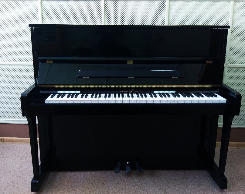 В Детскую школу искусств поступило новое пианино, пополнить материальную базу хорошим музыкальным инструментом удалось в рамках исполнения регионом поручений президента страны