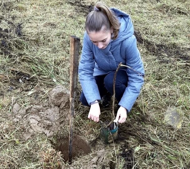 175 ДЕРЕВЬЕВ В ЧЕСТЬ ВЕЛИКОГО ЗЕМЛЯКА _________ В Тутаевском районе прошла Всероссийская экологическая акция «Живи, лес!»
