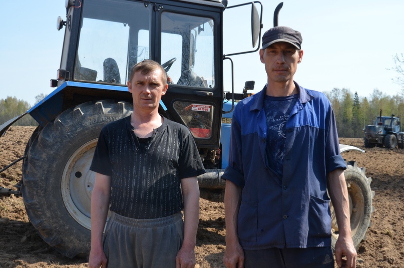 Весенне-полевые работы СПК Тутаевского района проводят с высокими процентами выполнения плановых показателей