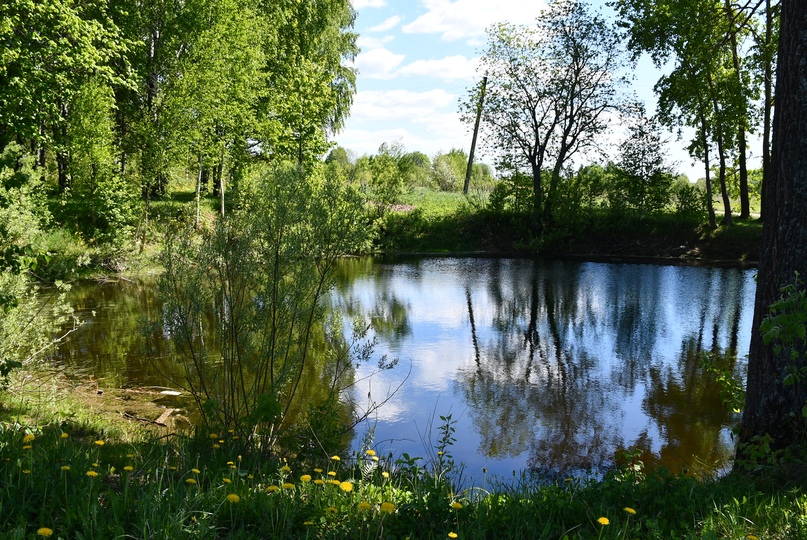 В Левобережном сельском поселении началось благоустройство парка в Пшеничище
