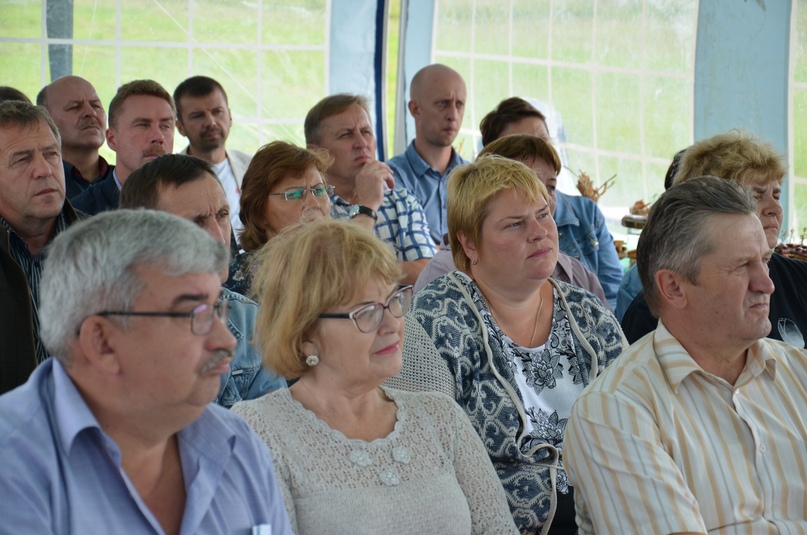 Ярославская область, как оказалось, практически идеально подходит для выращивания ячменя, из которого производят солодовые напитки