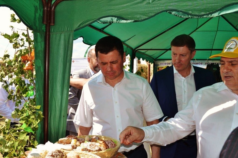 Тутаевская делегация посетила агрофорум «День ярославского поля — 2019» и вернулась в район с оптимистичным настроем на будущее