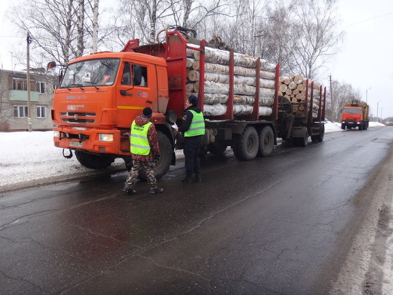 ЭКОЛОГИЯ: СОХРАНЕНИЕ ЛЕСОВ