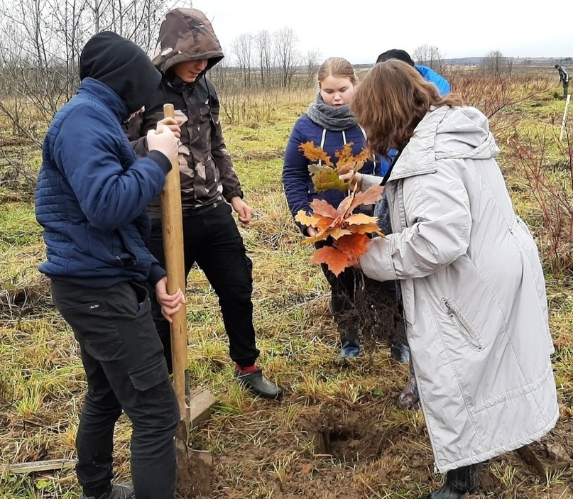 175 ДЕРЕВЬЕВ В ЧЕСТЬ ВЕЛИКОГО ЗЕМЛЯКА _________ В Тутаевском районе прошла Всероссийская экологическая акция «Живи, лес!»